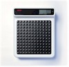 seca 770 scale