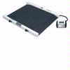 Detecto wheelchair scale
