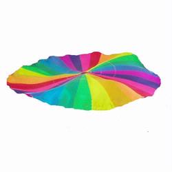 Pacific Play Tents 86-717 45 Foot Parachute With Handles And Carry Bag Picture