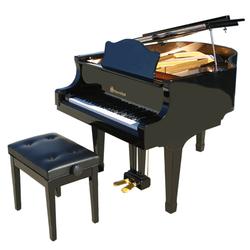 Schoenhut Sbg4907b 49 Key Pro Baby Grand Piano - Black Picture