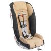 Radian 65SL Car Seats Champagne