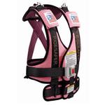 Safe Traffic Systems in Pink