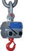 Intercomp CS5000 100717 High Capacity Crane Scale, 70000 x 20 lb Made in USA 