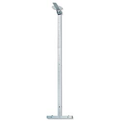 Seca 222 stadiometers