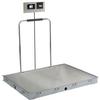 Detecto SOLACE Series ID-4848SH-855RMP 4 x 4 ft In-Floor Dialysis Scale with Handrail 1000 x 0.2 lb