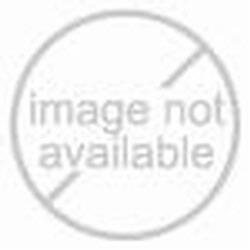 Fashionable Diaper Bag with All BOB Strollers  