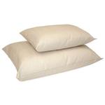 Naturepedic LS53 - Organic Cotton/PLA Pillow - Standard Size 