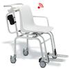 Seca medical chair scale