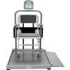 Health O Meter 2500CKG-BT Digital Wheelchair Scale with Fold Away Seat with Built-in Pelstar Wireless Technology KG Only 454 x 0.1 kg