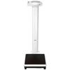 Seca 769 Electronic Column Scale with BMI (7691321004) 450 x 0.2 lb