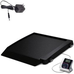 Rice Lake 350-10-7-AC Single Ramp Wheelchair Platform Scale with AC Adapter 1000 lb x 0.2 lb