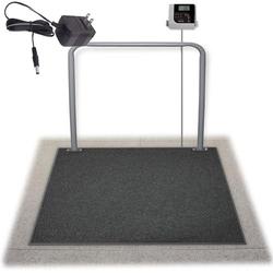 Rice Lake SD-1150-WP-AC In Ground Dialysis Wheelchair Scale with AC Adapter, 1000 x 0.2 lb