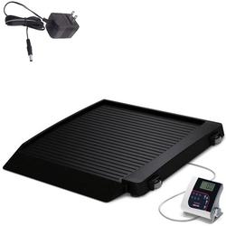 Rice Lake 350-10-7-BT-AC Single Ramp Wheelchair Platform Scale with Bluetooth with AC Adapter 1000 lb x 0.2 lb