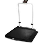 Rice Lake 350-10-2BLE Single Ramp Handrail Wheelchair Scale with BlueTooth - 1000 lb x 0.2 lb