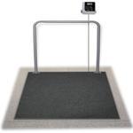 Rice Lake VS-37BLE In Floor Veterinary 36 x 36 inch Scale with Bluetooth 1000 x 0.2 lb