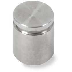 Troemner 80852736 ASTM Class 6 Cylindrical Calibration Weight With No Certificate 5dwt