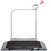 Seca 876 Heavy-Duty Floor Scale (550 lb Capacity)